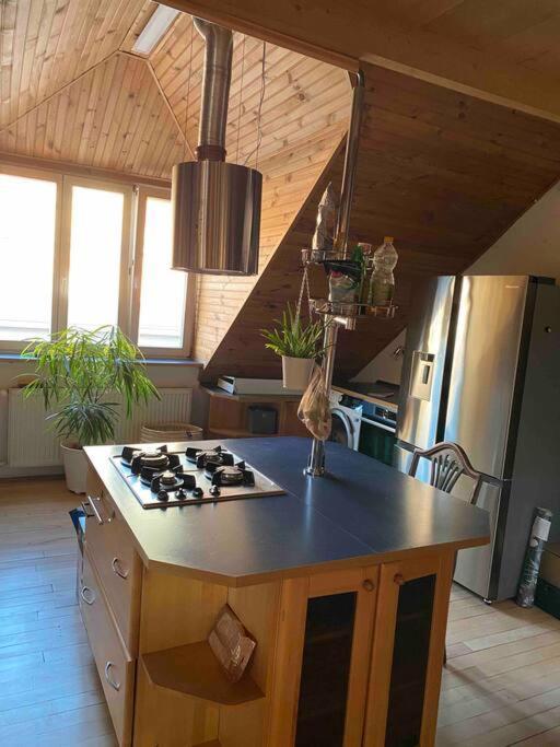 Rooftop 180M2 Loft With Private Sauna, Братислава Екстер'єр фото