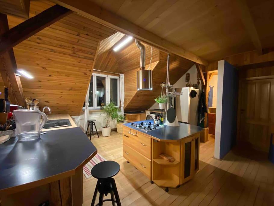 Rooftop 180M2 Loft With Private Sauna, Братислава Екстер'єр фото